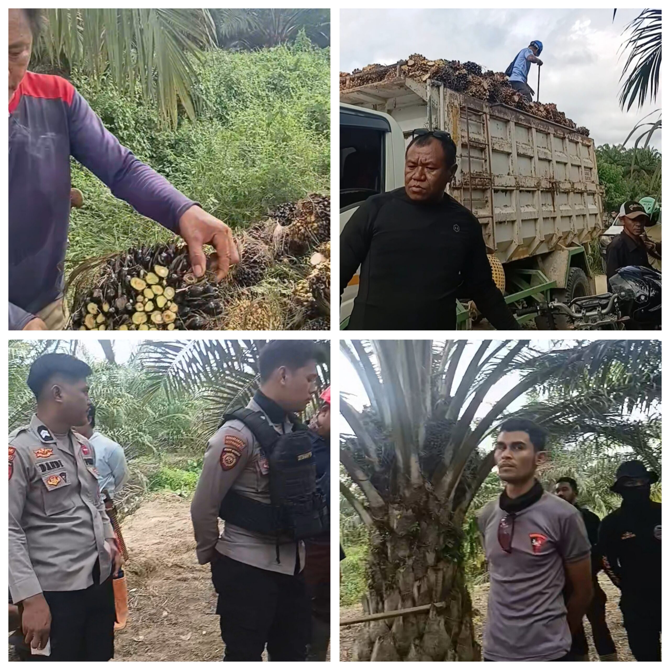 KONFLIK AGRARIA DESA AKO KEMBALI MEMANAS: SURAT TERBUKA TAK KUNJUNG DIRESPONS, MASYARAKAT DESAK PEMERINTAH PUSAT DAN APARAT NEGARA TURUN TANGAN dudukperkara.com
