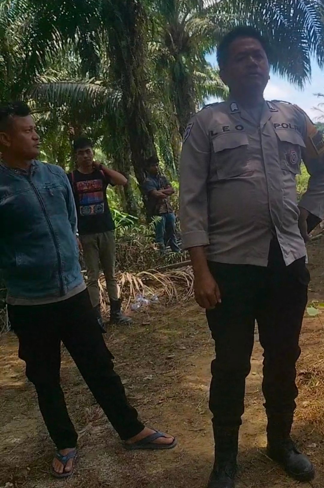 2,5 TON SAWIT DIDUGA DIANGKUT PAKSA DI AFDELING GOLF! PULUHAN SECURITY & CENTENG TURUN — PENDAMPING HAMPIR DISERANG, JURNALIS DIDUGA DIHALANGI, BHABINKAMTIBMAS DISOROT LAHAN LAMISI DIKUASAI PT LETAWA PULUHAN TAHUN — HASIL PANEN, 2 EGREK DAN 2 GEROBAK IKUT DIBAWA. NEGARA DI MANA? dudukperkara.com