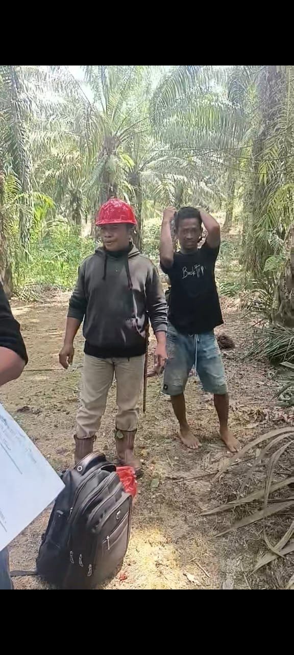TANAH ADAT, INKLAVE, HGU, KAWASAN HUTAN, DAS HINGGA MUARA: SEMUANYA HARUS KEMBALI PADA DASAR HUKUM dudukperkara.com