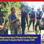 Aktivis,Dugaan Pelanggaran Hukum Menguat PT.Pasangkayu Panen Di Wilayah Sengketa Dikawal Aparat Bersenjata Picu Kegaduhan Warga Kab. Pasangkayu - SULBAR