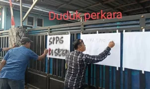 demo peternak boja