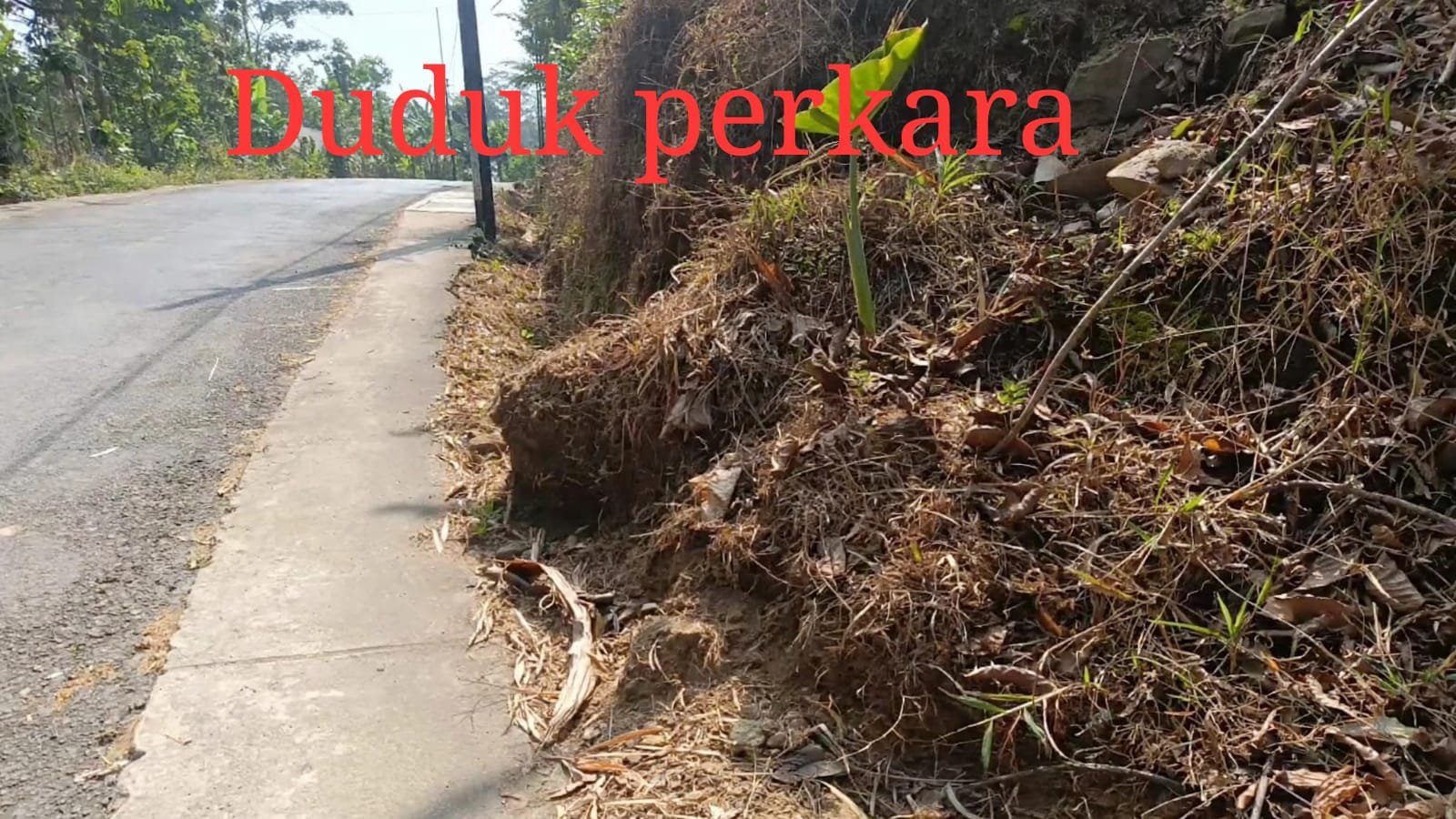 margosari kendal 2